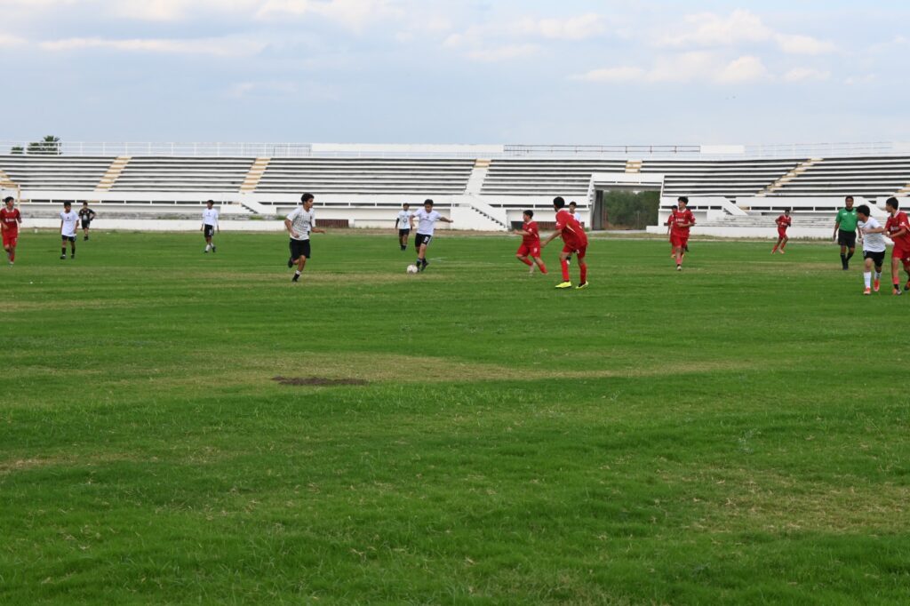 IMG-20241109-WA0028