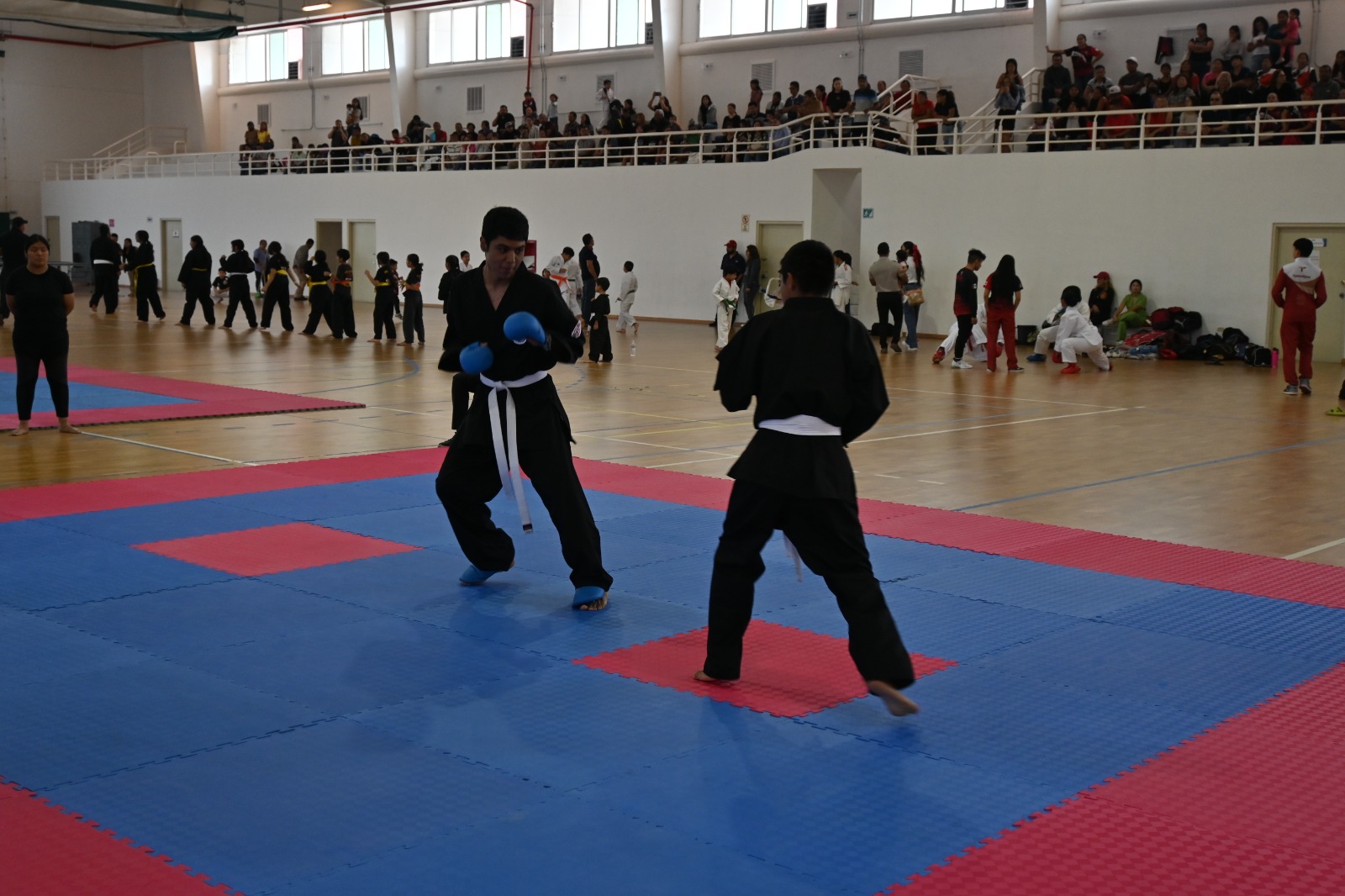 IMG-20241121-WA0039
